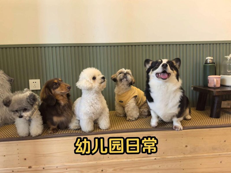幼儿早教